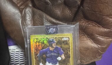 Newest addition to the collection