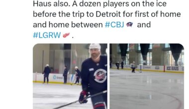 Guddy (looking happy) and Chinny on the ice today