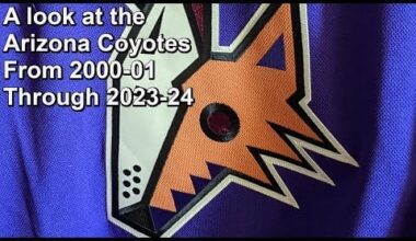 A Quarter Century Overview of the Arizona Coyotes