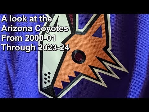 A Quarter Century Overview of the Arizona Coyotes