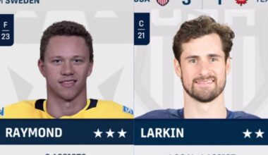 Wings hockey back in business