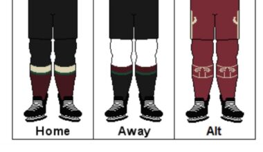 Utah Hockey Club jersey concept