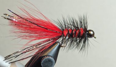 Hello fellow anglers. I'm new to fly tying. I'm making a woolly bugger for every NHL team. Here's yours.