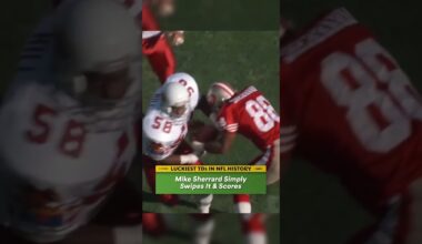 LUCKIEST TOUCHDOWNS in NFL History: Mike Sherrard Simply Swipes it and Scores