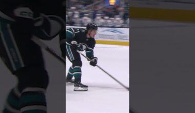 Baby Sharks doo doo doo doo 😎🦈💧