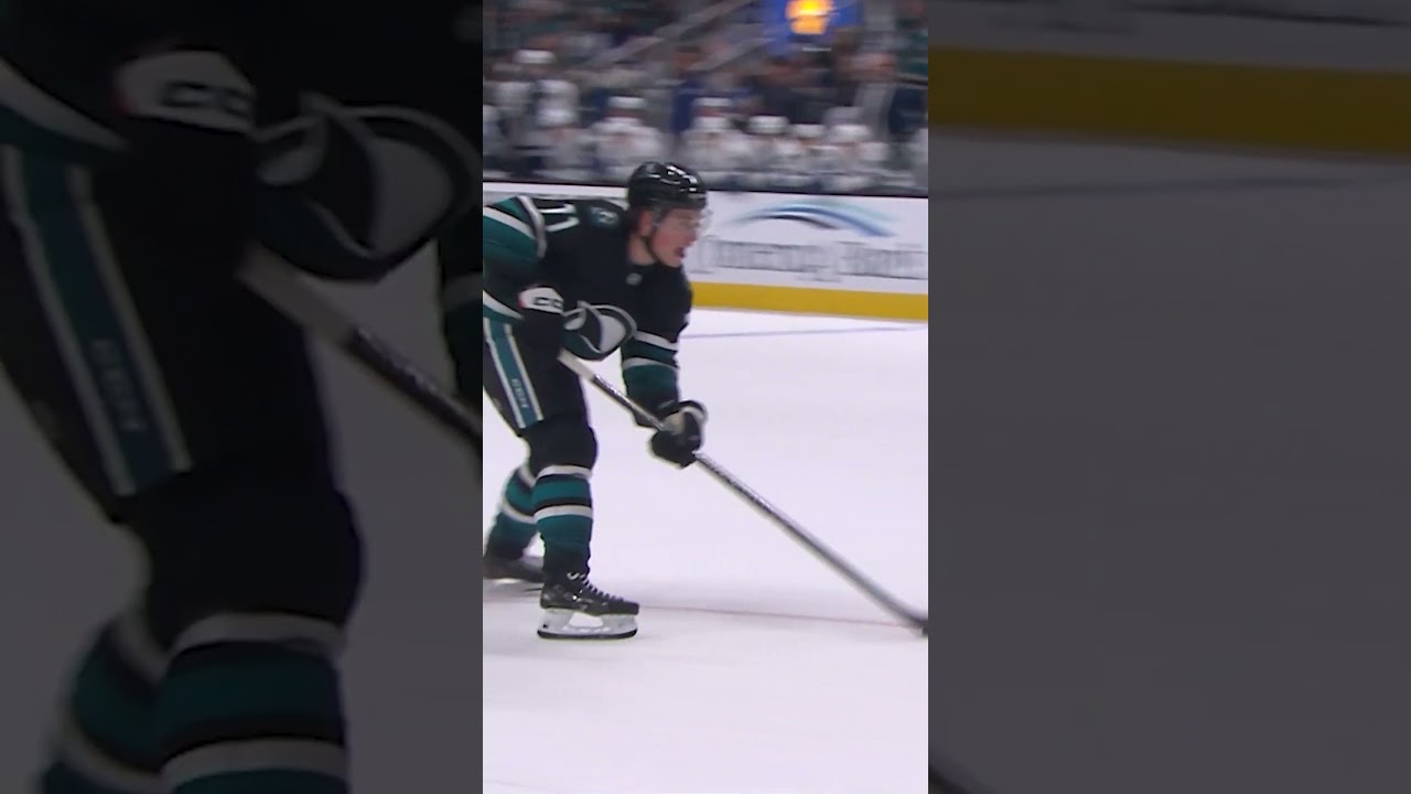 Baby Sharks doo doo doo doo 😎🦈💧