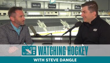 Watching Hockey: Steve Dangle