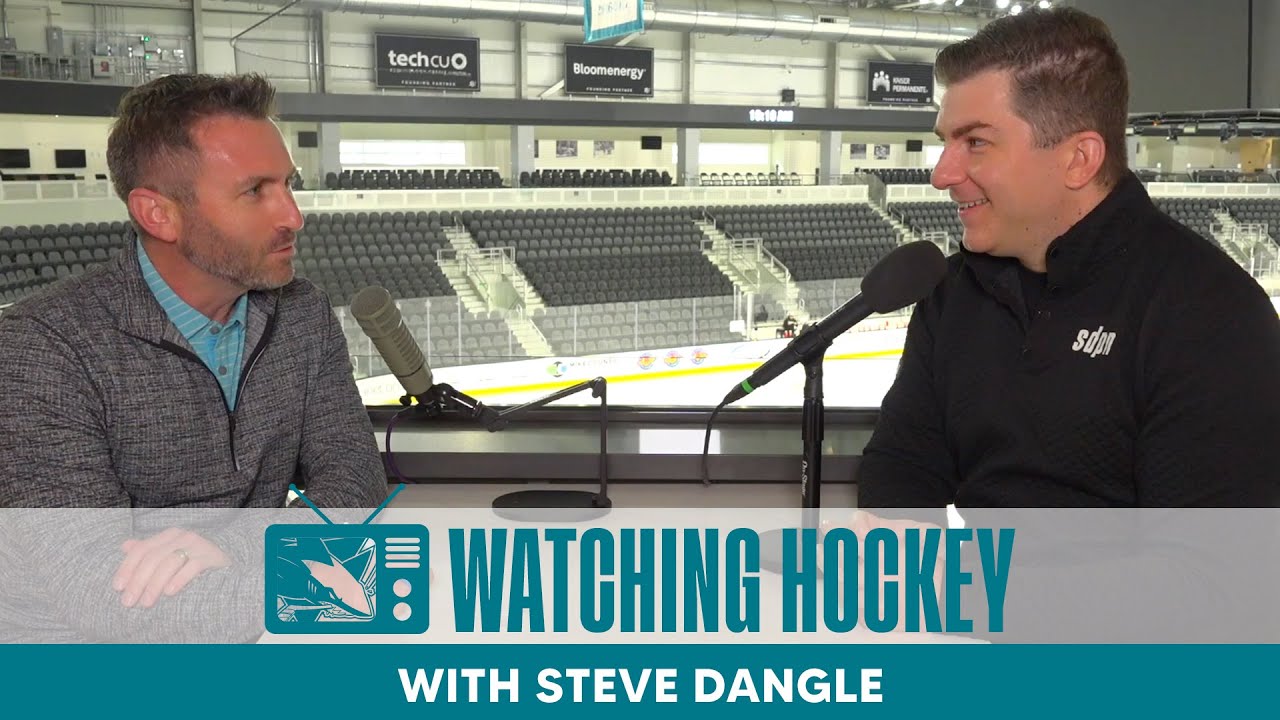 Watching Hockey: Steve Dangle
