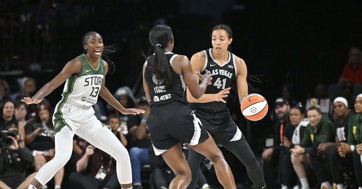 Phoenix Mercury’s latest free agency signing continues growing WNBA trend