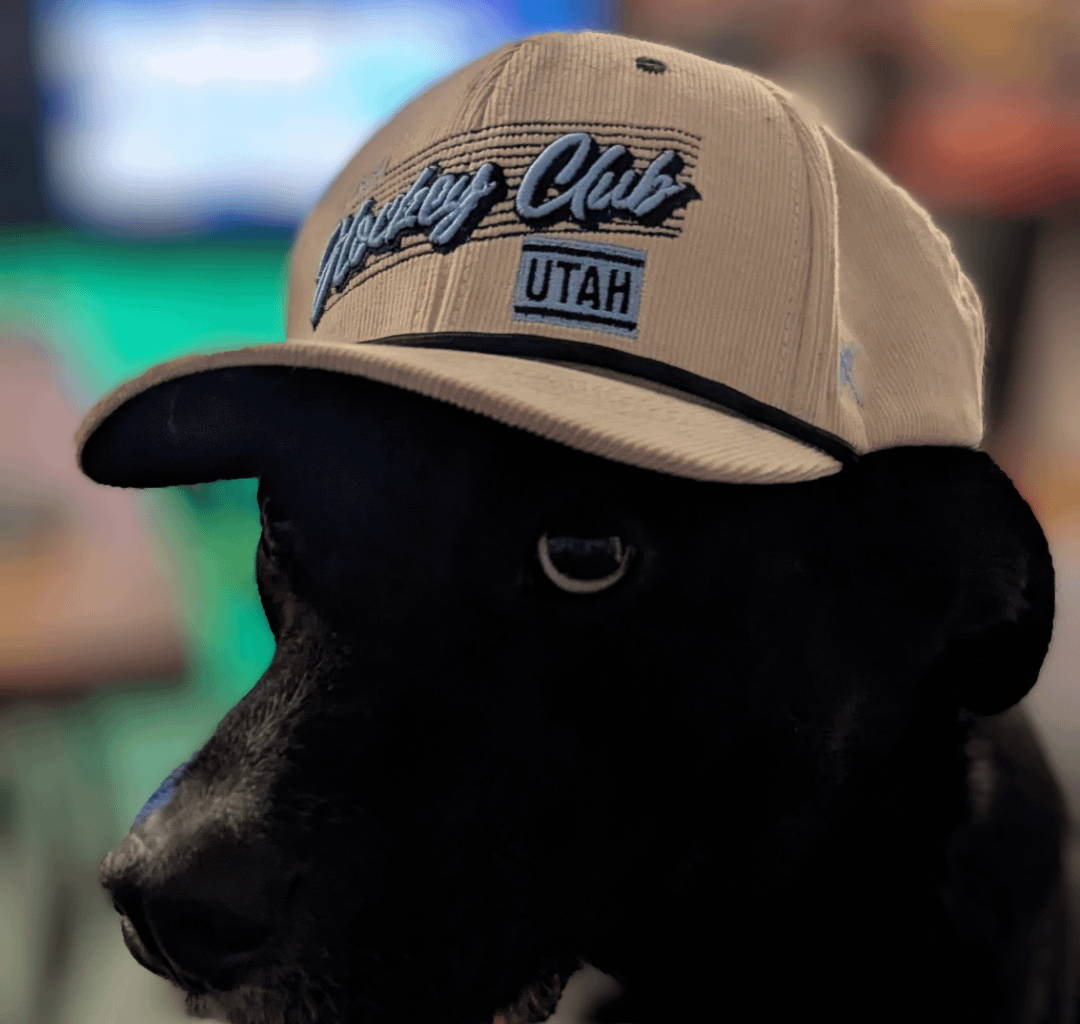 Apollo the Hockey Dog