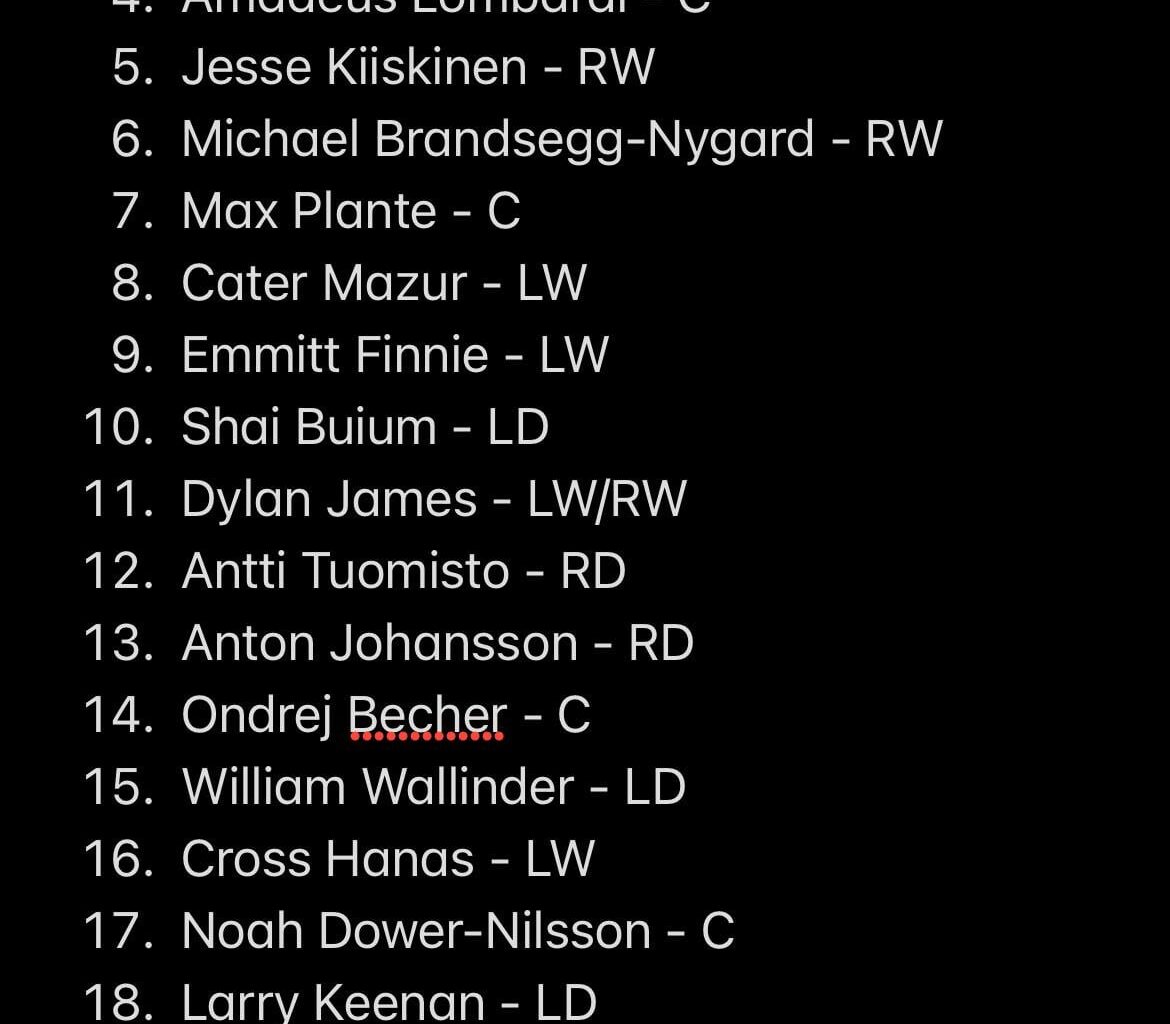 Detroit Red Wings Top 25 Prospects