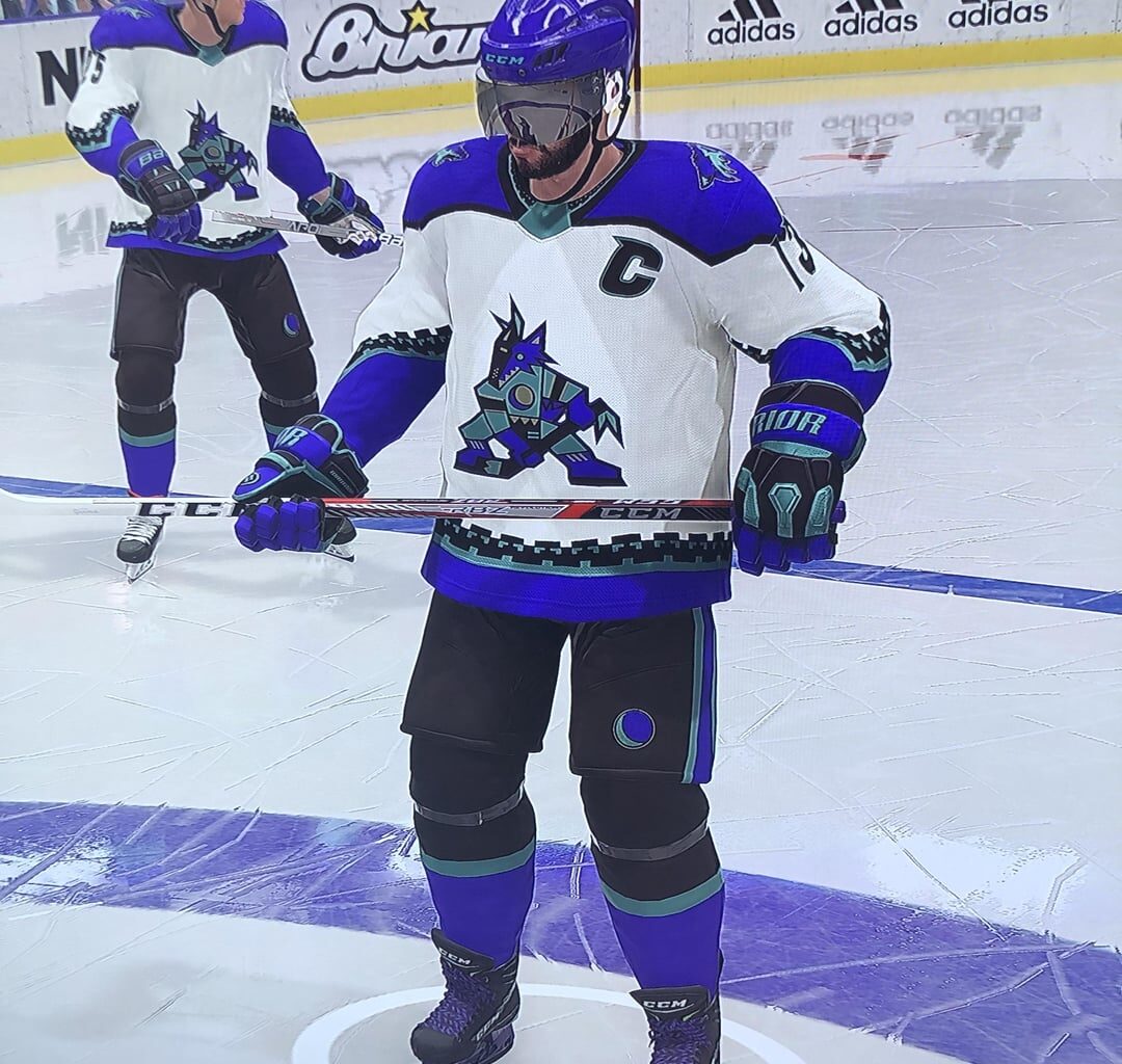 Rebranded the Arizona Coyotes