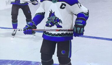 Rebranded the Arizona Coyotes