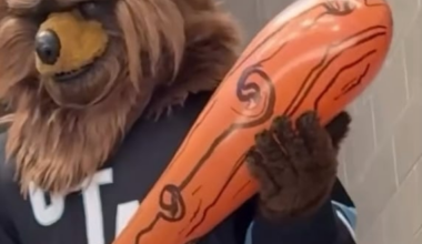 Posted by Hockey Bear