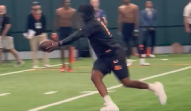 They look like they fell in love 😂