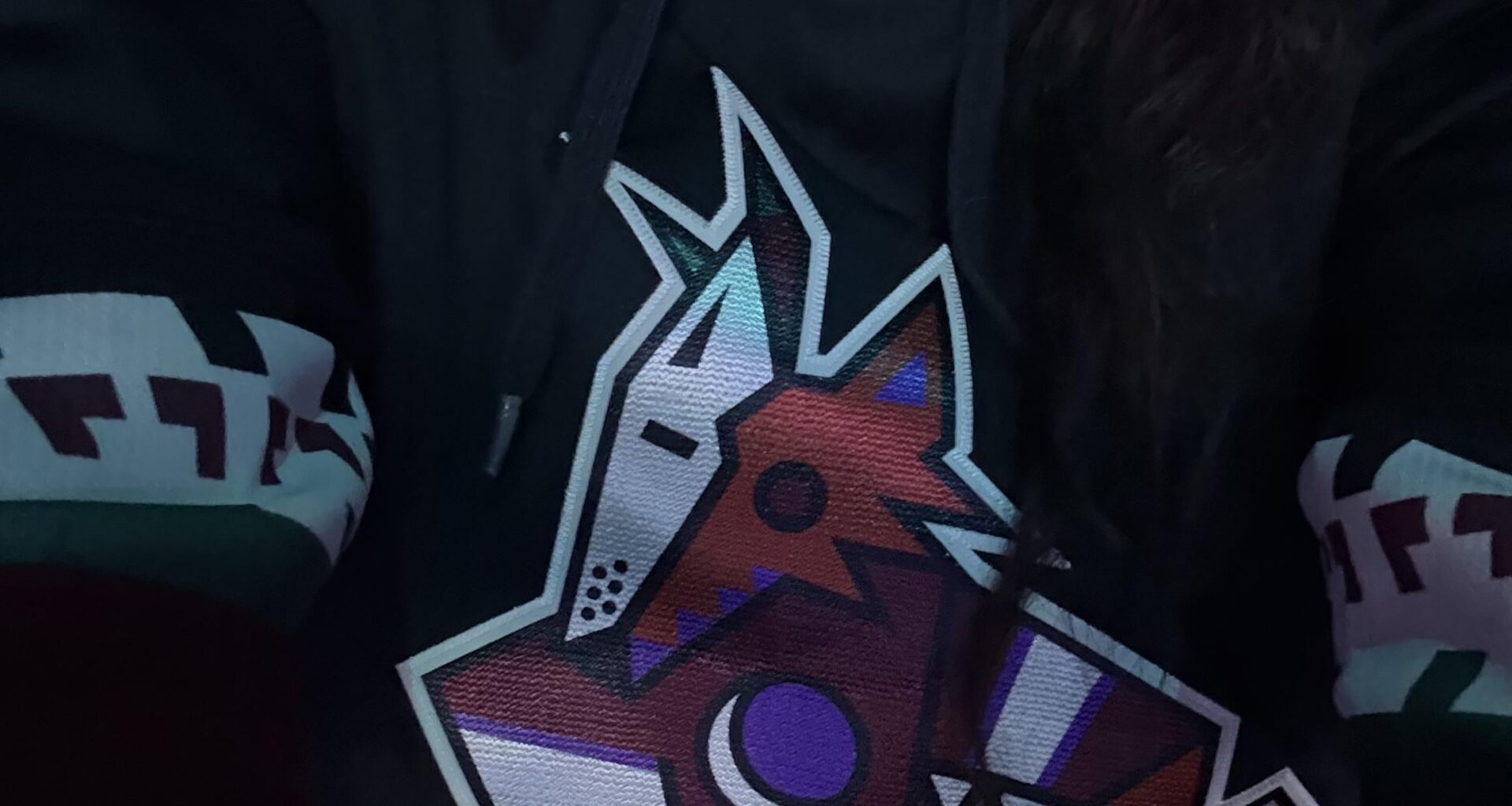 Since the coyotes are gone, I became a canucks fan. Going to the game tonight and gonna confuse everyone by cheering for canucks goals