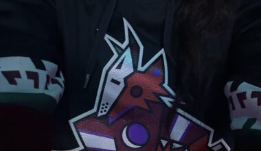 Since the coyotes are gone, I became a canucks fan. Going to the game tonight and gonna confuse everyone by cheering for canucks goals