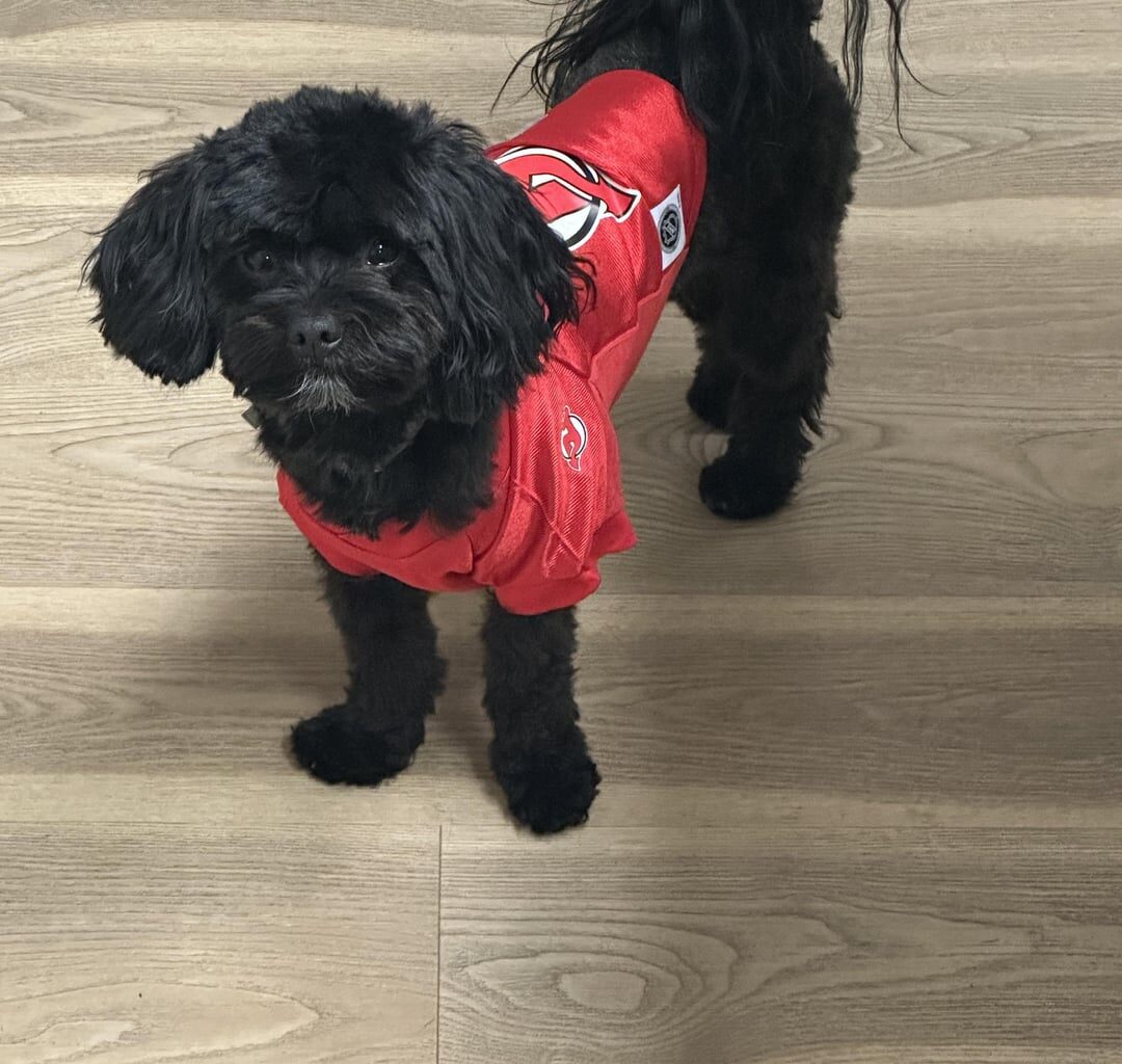 We Need Someone to Step Up