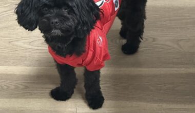 We Need Someone to Step Up