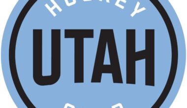 My kids are preparing for Christmas early they don’t  know what NHL team uniform for home away and alternate to ask Santa please help