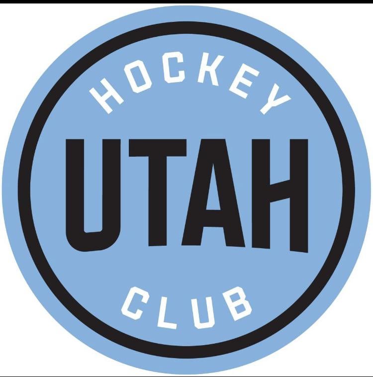 My kids are preparing for Christmas early they don’t  know what NHL team uniform for home away and alternate to ask Santa please help