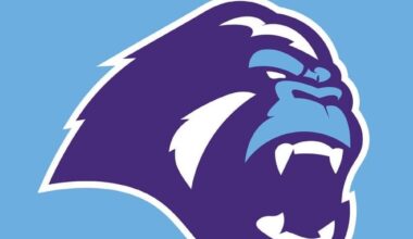 New logo if we become the yeti?