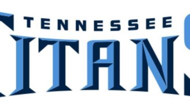 I don’t like the primary logo but love the wordmark logo. Good day.