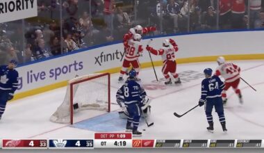 The Red Wings Have Beaten 25 of 31 Other NHL Teams- And Could Still Defeat 28, Earning Points Against 29 of 31