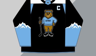 Hockey bear concept jersey