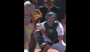 It took THIS crazy of a pitch to strike out Luis Arraez for the first time