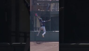 Victor Robles INJURED making this incredible catch