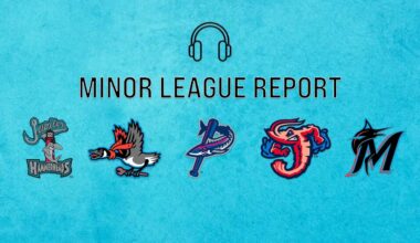 Miami Marlins Minor League Report - April 13