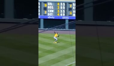 Don’t you hate when the light gets in your eyes #baseball #mlb #sports #light #sun