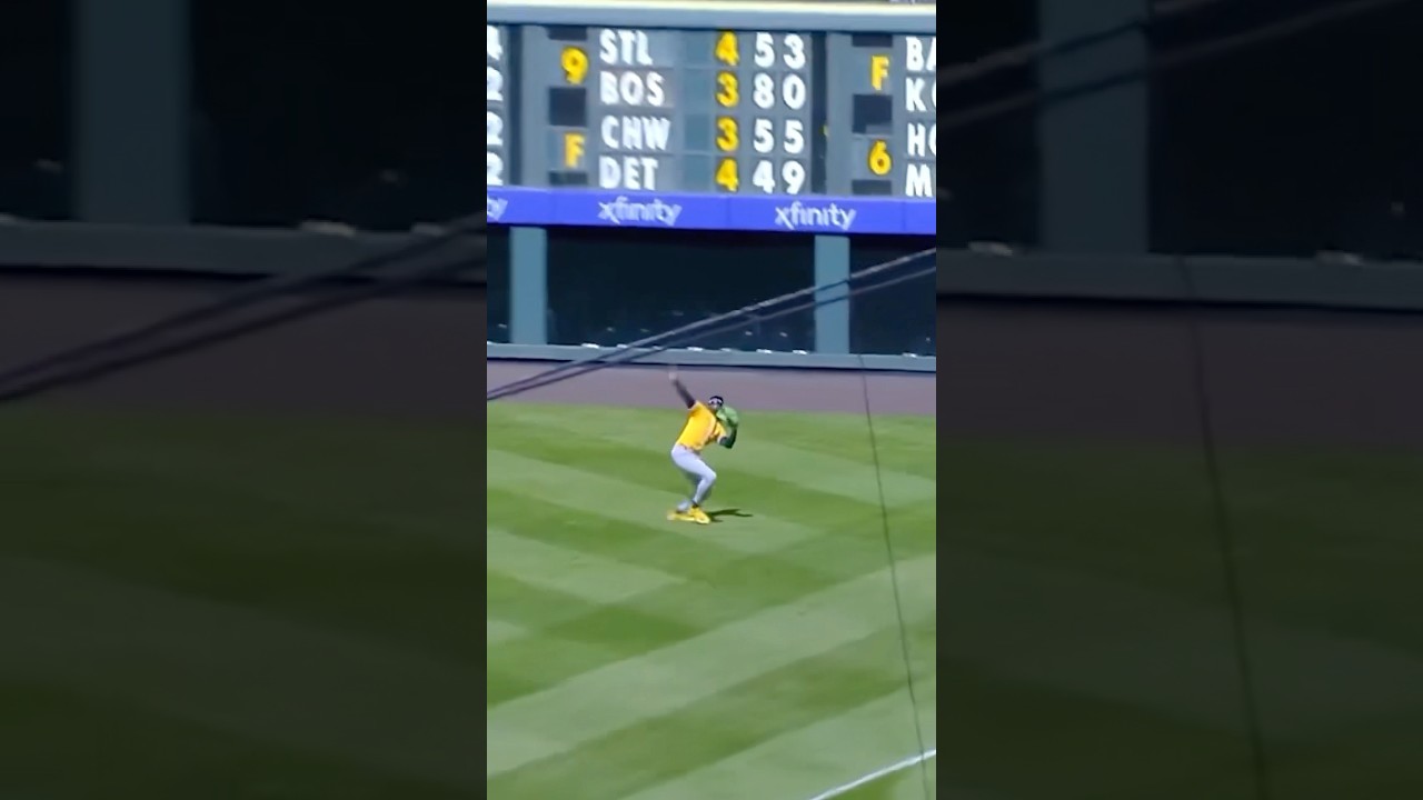 Don’t you hate when the light gets in your eyes #baseball #mlb #sports #light #sun