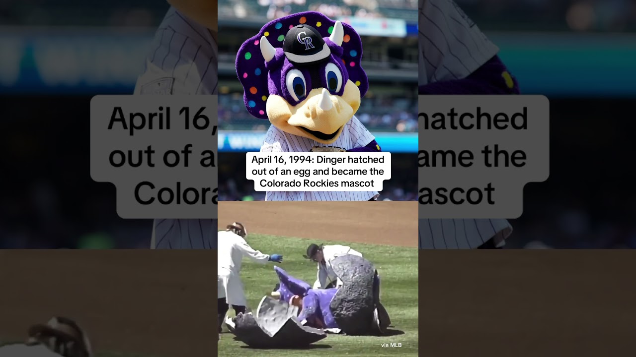 31 years ago today, Dinger was born 😅 #rockiesbaseball #baseball #mlb #mlbmascots #coloradorockies