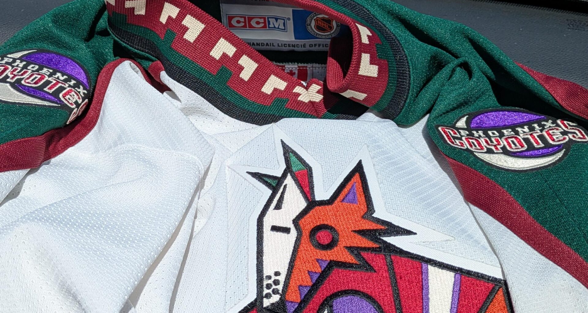 Random Thrift Store Find in Western Colorado