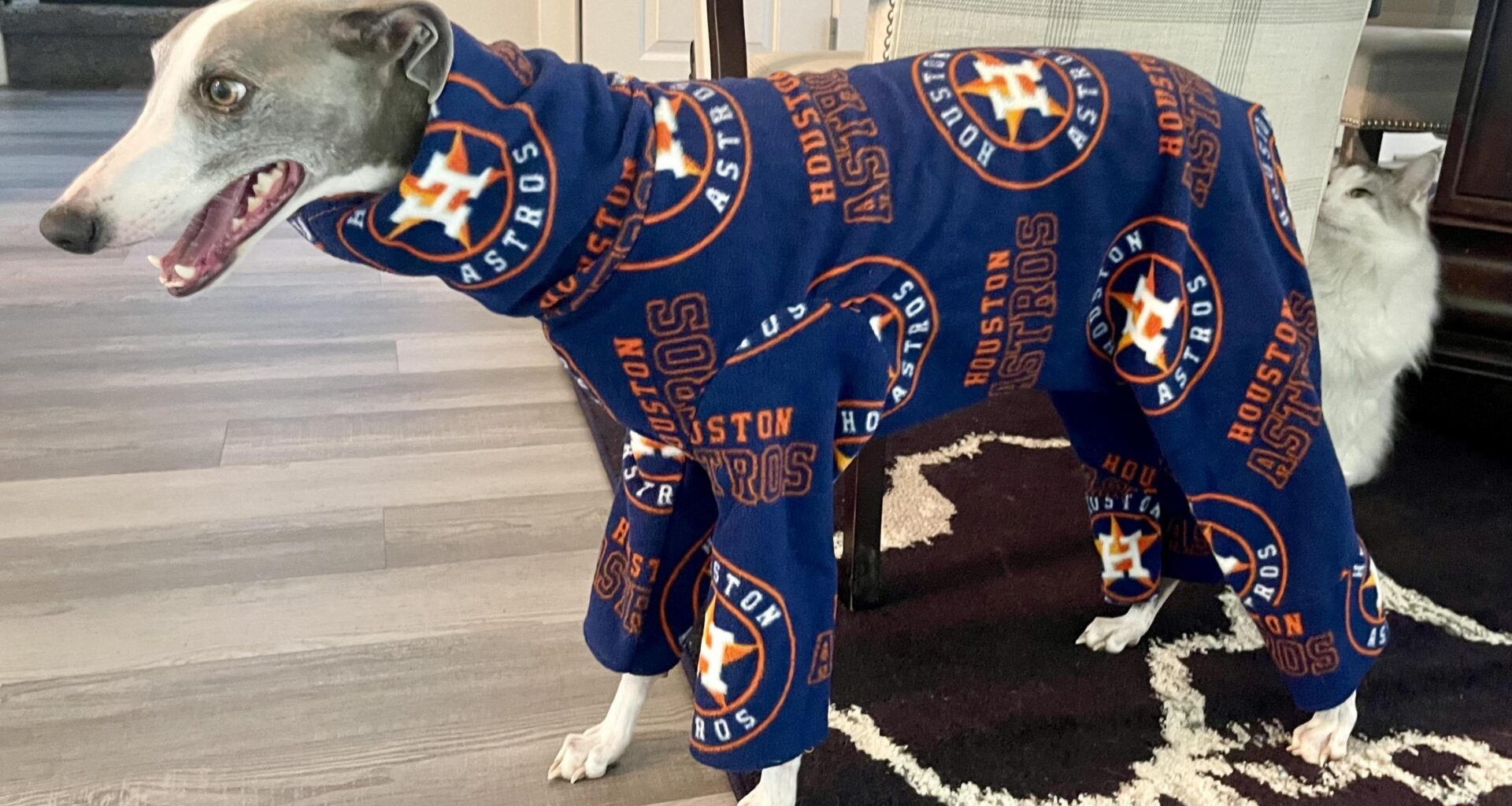 My whippet got hurt yesterday so to protect his surgical site, he gets to spend the next two weeks rooting for the Astros. Maybe he can bring them some luck.