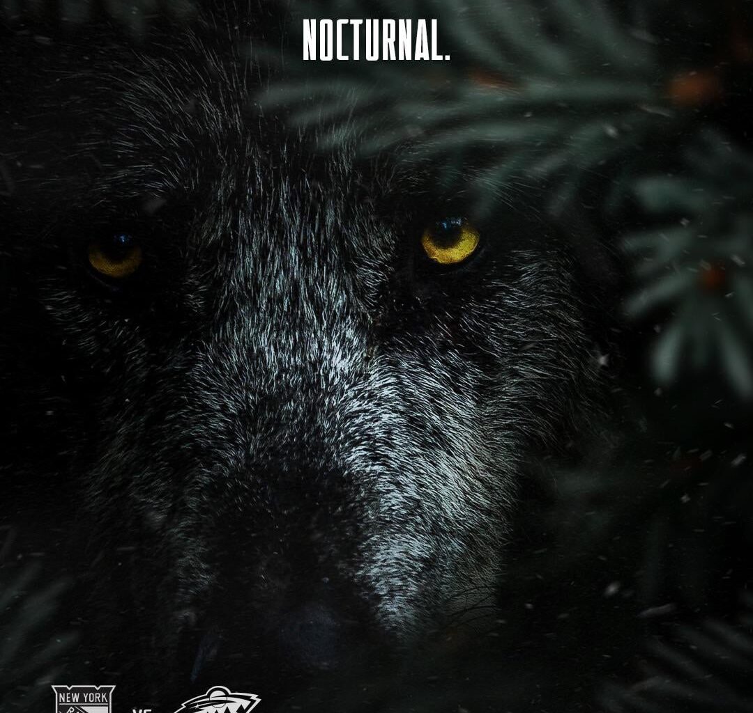 Official gameday graphic from a few weeks ago - our logo “could” be a wolf after all. Wild.