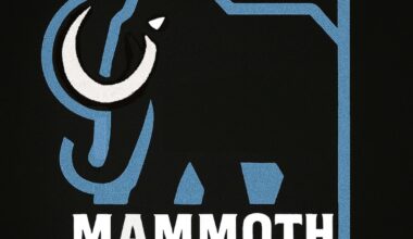 Various logo versions of my previous post