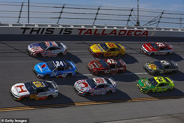 Berry was driving the No. 21 car (top, third row) at 190mph when he hit the flying creature