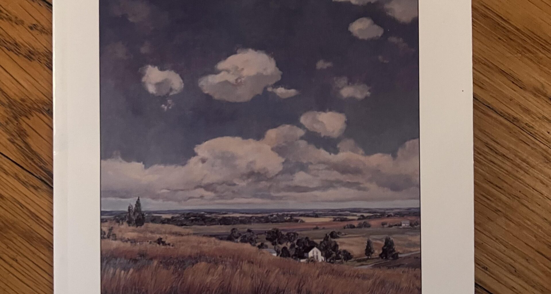 Finally found a copy of this