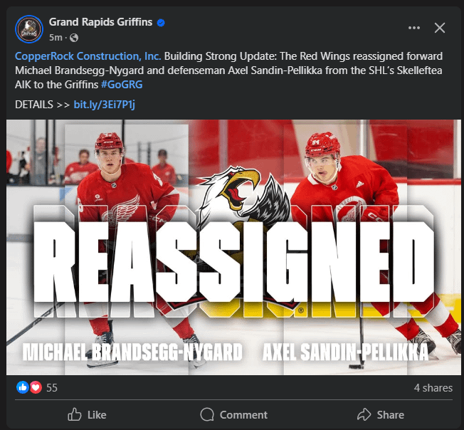 The Red Wings reassigned forward Michael Brandsegg-Nygard and defenseman Axel Sandin-Pellikka from the SHL’s Skelleftea AIK to the Griffins #GoGRG