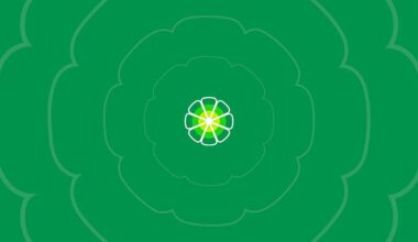 Complete broadcast of final Oakland A's game for download/viewing offline