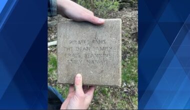 Pirates release statement after fans angered over disappearance of 'Bucco Bricks'