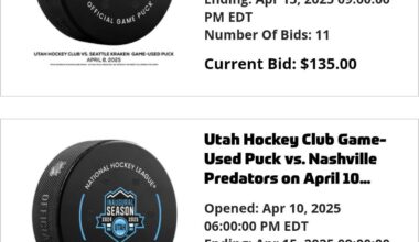 NHL Auctions Has Some Cool UHC Stuff
