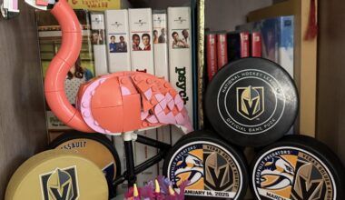 Perfect timing for my new Lego set. Here’s to more flamingos on the ice as we head to the playoffs!