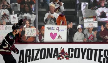 Maricopa County leaders hope to bring NHL team back to Arizona in ‘near future’