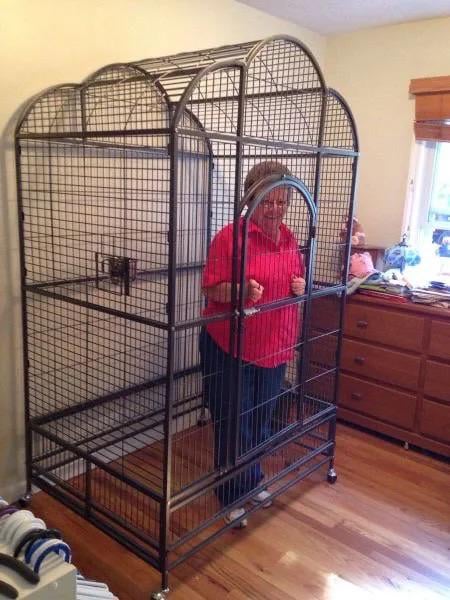 Grandma isn't getting out until SKA lets Nikishin out