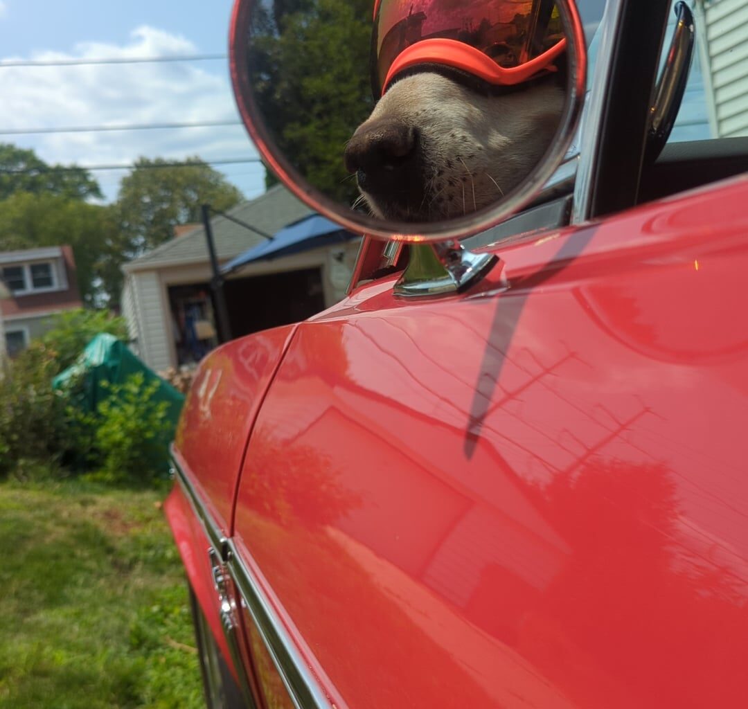 Dogfred's bringing old school back as the Bucks prepare to cruise through the first round! Let's go BUCKS!