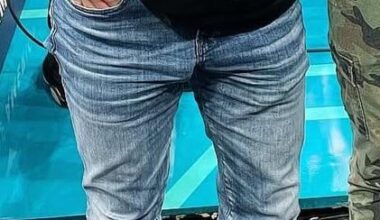 Hornets Jordan 1 lows